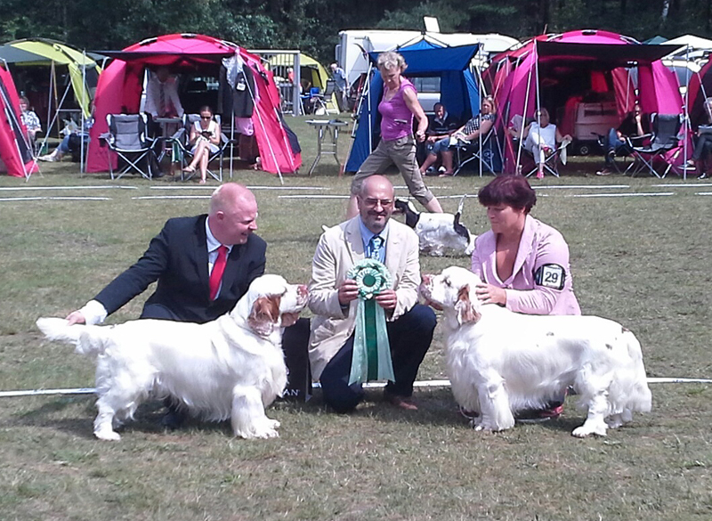 clumber spaniel Ballu Boy od Blch jelen