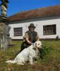 clumber spaniel Clumber Carlos od Blch Jelen